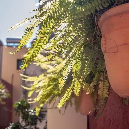 بيت للعطل Old Town House With Jacuzzi And Yard,4ppl *