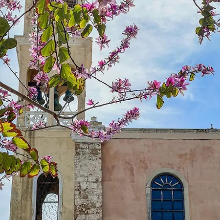 Old Town House With Jacuzzi And Yard,4ppl